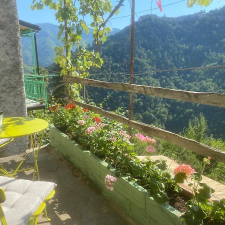 A Ca' Da Zia Villa Corte  Bagian luar foto