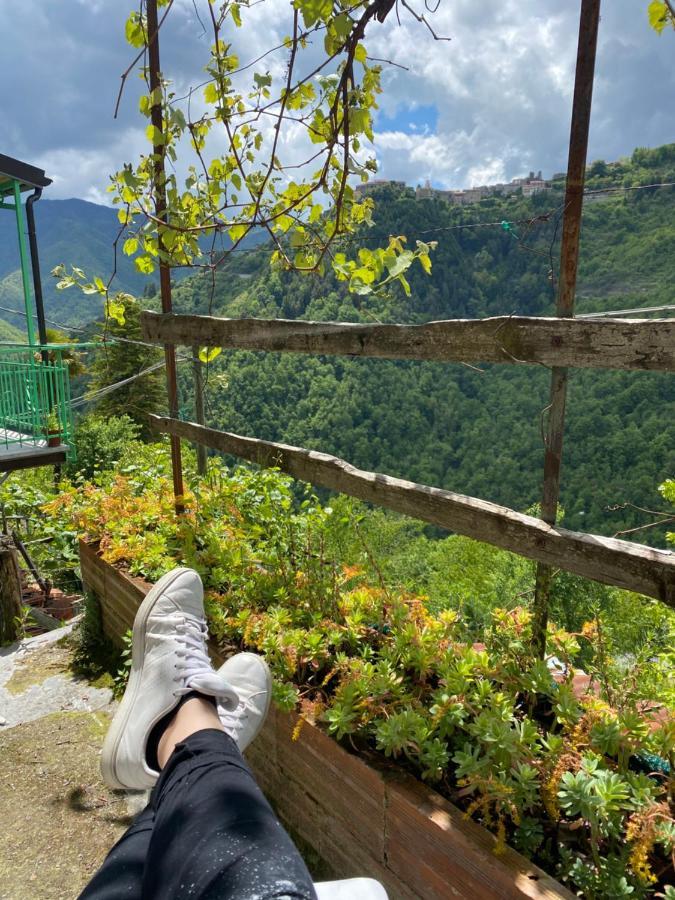 A Ca' Da Zia Villa Corte  Bagian luar foto