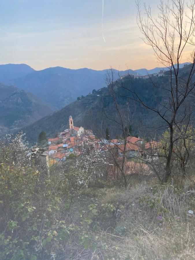 A Ca' Da Zia Villa Corte  Bagian luar foto