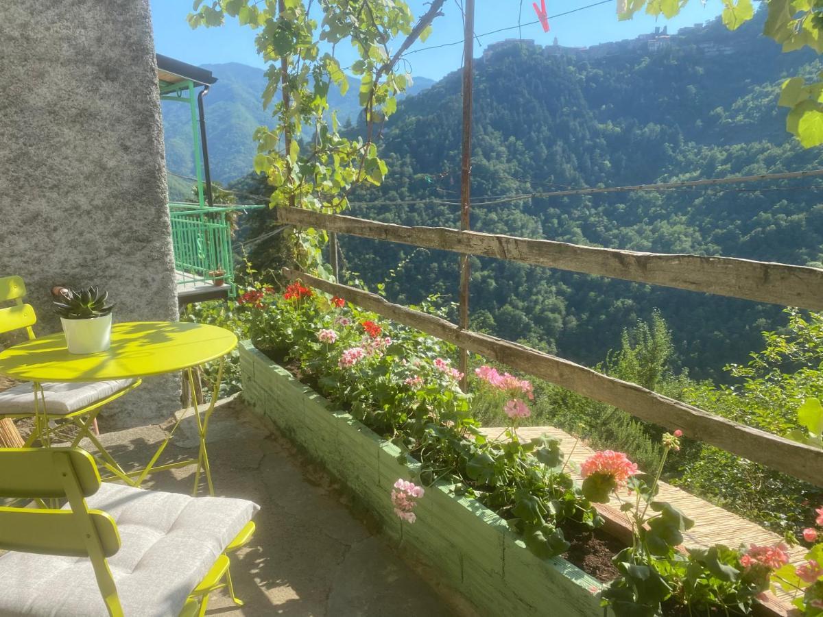 A Ca' Da Zia Villa Corte  Bagian luar foto